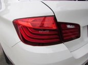 Cần bán gấp BMW 5 Series 520i đời 2015, màu trắng, xe nhập còn mới