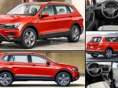 Bán xe Volkswagen Tiguan đời 2018, màu đỏ, xe nhập