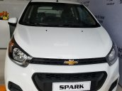 Cần bán xe Chevrolet Spark Duo 2018, có đủ màu, xe Van 2 chỗ duy nhất hỗ trợ 50 triệu nhận xe