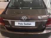 Bán Volkswagen Polo đời 2017, màu nâu, nhập khẩu, 690tr