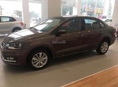 Bán Volkswagen Polo đời 2017, màu nâu, nhập khẩu, 690tr