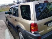 Bán Ford Escape 2004, màu vàng cát