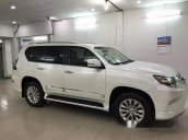 Bán ô tô Lexus GX 460 đời 2013, màu trắng