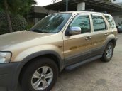 Bán Ford Escape đời 2005, màu vàng cát, xe nhập