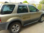 Bán Ford Escape đời 2005, màu vàng cát, xe nhập