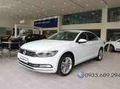 Volkswagen Passat Bluemotion nhiều màu, nhập khẩu từ Đức - Hotline 0933.689.294