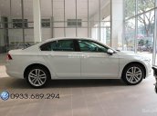 Volkswagen Passat Bluemotion nhiều màu, nhập khẩu từ Đức - Hotline 0933.689.294