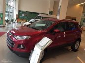 Ford Ecosport mới 100%, giao ngay trước tết, Lh: 0978869164