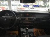 Cần bán BMW 5 Series 520i 2015, màu đen chính chủ