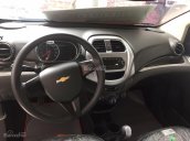 Chevrolet Spark Duo, ưu đãi 30 triệu tháng 2, giá chỉ còn 269 triệu, trả góp trả trước 70 triệu, 0917118907