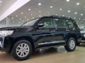 Cần bán xe Toyota Land Cruiser VX đời 2018, màu đen, xe nhập