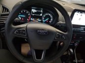 Ford Q2 bán Ford EcoSport Titanium 2018, tặng bảo hiểm vật chất, dán kính 3M và camera hành trình