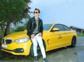 Cần bán BMW 4 Series đời 2013, màu vàng, nhập khẩu