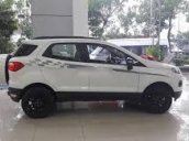 Ford Ecopsort Titanium 2018 6AT, màu trắng, giá trả trước chỉ từ 200 triệu