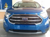 Cần bán, bao trọn gói A-Z xe Ford EcoSport 2018 Titanium 1.5, SYNC3