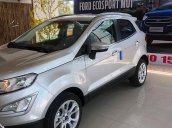 150 triệu nhận ngay Ford EcoSport AB, Ecoboost, Titanium