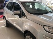 150 triệu nhận ngay Ford EcoSport AB, Ecoboost, Titanium