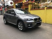 Bán BMW X6 năm sản xuất 2010, màu xám 