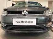 (ĐẠT DAVID) Bán Volkswagen Polo Hatchback 2017, màu xám, nhập khẩu chính hãng LH 0933.365.188