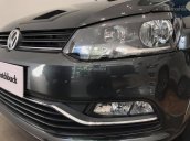 (ĐẠT DAVID) Bán Volkswagen Polo Hatchback 2017, màu xám, nhập khẩu chính hãng LH 0933.365.188