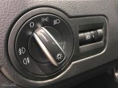 (ĐẠT DAVID) Bán Volkswagen Polo Hatchback 2017, màu xám, nhập khẩu chính hãng LH 0933.365.188