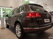 (Đạt David) Bán Volkswagen Touareg 2017, màu nâu, nhập khẩu chính hãng LH 0933.365.188