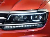 (ĐẠT David) Bán Volkswagen Tiguan Allspace 2018, đủ màu, nhập khẩu chính hãng LH 0933.365.188