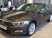 Bán Volkswagen Passat Bluemotion 2017, màu nâu, nhập khẩu chính hãng LH 0933.365.188