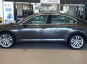 Bán Volkswagen Passat Bluemotion 2017, màu nâu, nhập khẩu chính hãng LH 0933.365.188