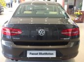 Bán Volkswagen Passat Bluemotion 2017, màu nâu, nhập khẩu chính hãng LH 0933.365.188