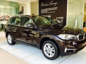 BMW TPHCM - bán BMW X5 Xdrive35i màu nâu - nhập khẩu nguyên chiếc, giá niêm yết