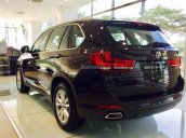 BMW TPHCM - bán BMW X5 Xdrive35i màu nâu - nhập khẩu nguyên chiếc, giá niêm yết