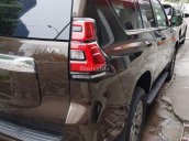 Bán Toyota Land Cruiser Prado VX 2018, màu nâu, nhập khẩu