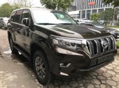 Bán Toyota Land Cruiser Prado VX 2018, màu nâu, nhập khẩu