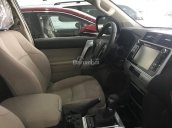 Bán Toyota Land Cruiser Prado VX 2018, màu nâu, nhập khẩu