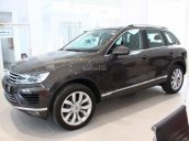 Cần bán Volkswagen Touareg sản xuất năm 2016, màu nâu, nhập khẩu