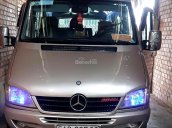 Bán Mercedes Sprinter 311 sản xuất 2006, màu bạc, nhập khẩu