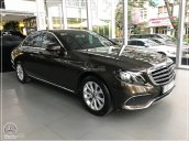 Cần bán xe Mercedes E200 đời 2018, màu nâu, nhập khẩu nguyên chiếc