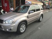 Cần bán xe Ford Escape XLS năm sản xuất 2009, màu nâu