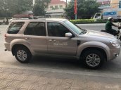 Cần bán xe Ford Escape XLS năm sản xuất 2009, màu nâu