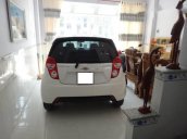 Bán Chevrolet Spark LS đời 2015, màu trắng  