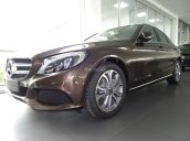 Cần bán xe Mercedes C200 2018, màu nâu, nhập khẩu nguyên chiếc