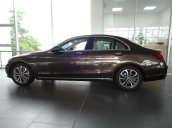 Cần bán xe Mercedes C200 2018, màu nâu, nhập khẩu nguyên chiếc