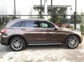 Bán Mercedes GLC 300 AMG 2019 - SUV thể thao cao cấp - Hỗ trợ 80% Bank - Ưu đãi hấp dẫn - LH 0919528520