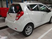 Cần bán Chevrolet Spark Duo đời 2018, màu trắng