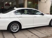 Bán BMW 5 Series 2.0 AT năm sản xuất 2014, màu trắng đẹp như mới