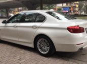 Bán BMW 5 Series 2.0 AT năm sản xuất 2014, màu trắng đẹp như mới