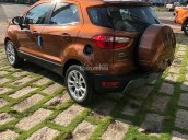 Bán Ford EcoSport SVP năm 2018, Đủ màu, giá cạnh tranh