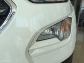 Bán EcoSport sản xuất năm 2018 màu trắng tại Nam Định 2018, giao ngay hỗ trợ giao xe, trả góp toàn quốc