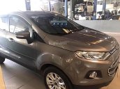 Bán xe Ford EcoSport Titatium 2016, màu nâu 